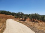 FINCA CACERES 2