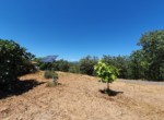 FINCA CACERES 3